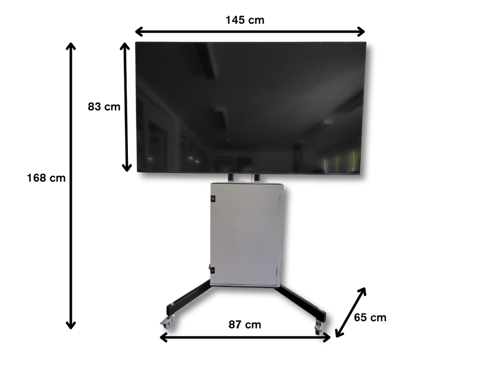 FlashBuzz Plus