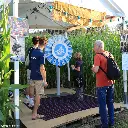 KIT-06 - Roue de la fortune - Images pour le shop (1).webp